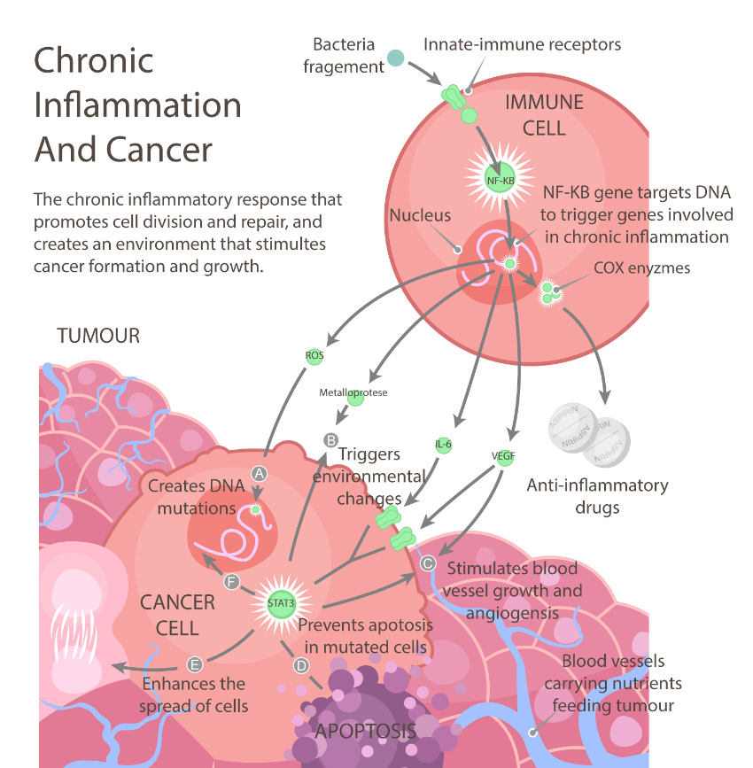 how-to-detect-silent-inflammation-an-early-warning-of-un-diagnosed