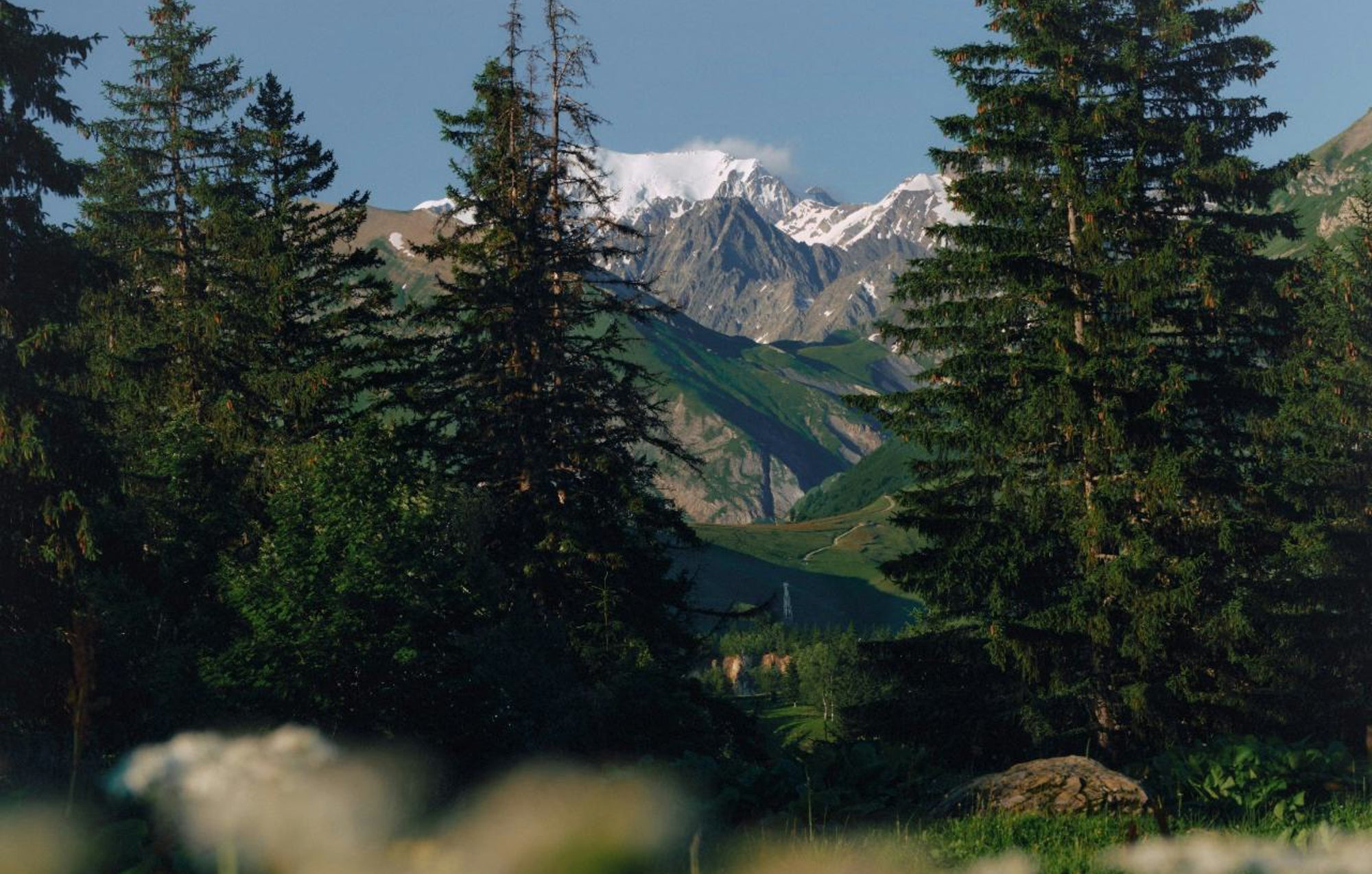 6 Ways to Create a Wellness Sanctuary