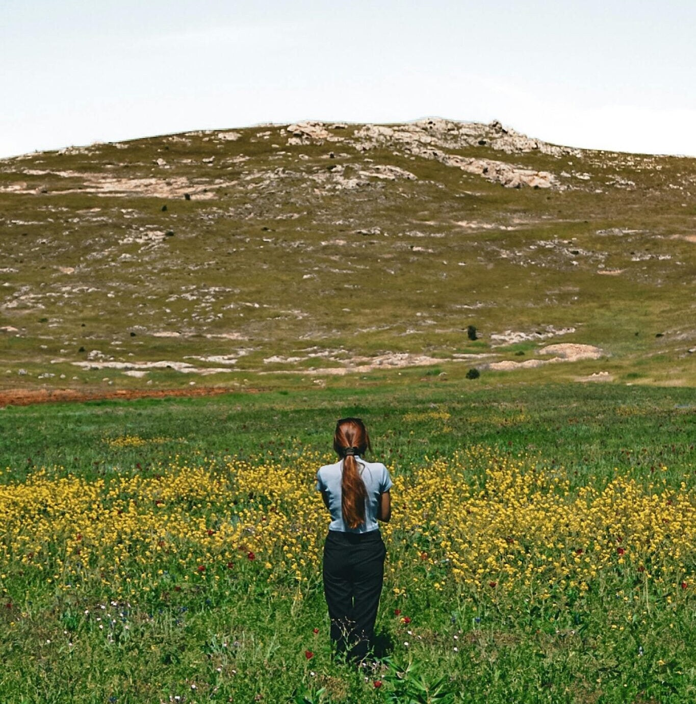 Does Grounding Reduce Stress? A Recent Study on Rats Suggests Earthing Might Help