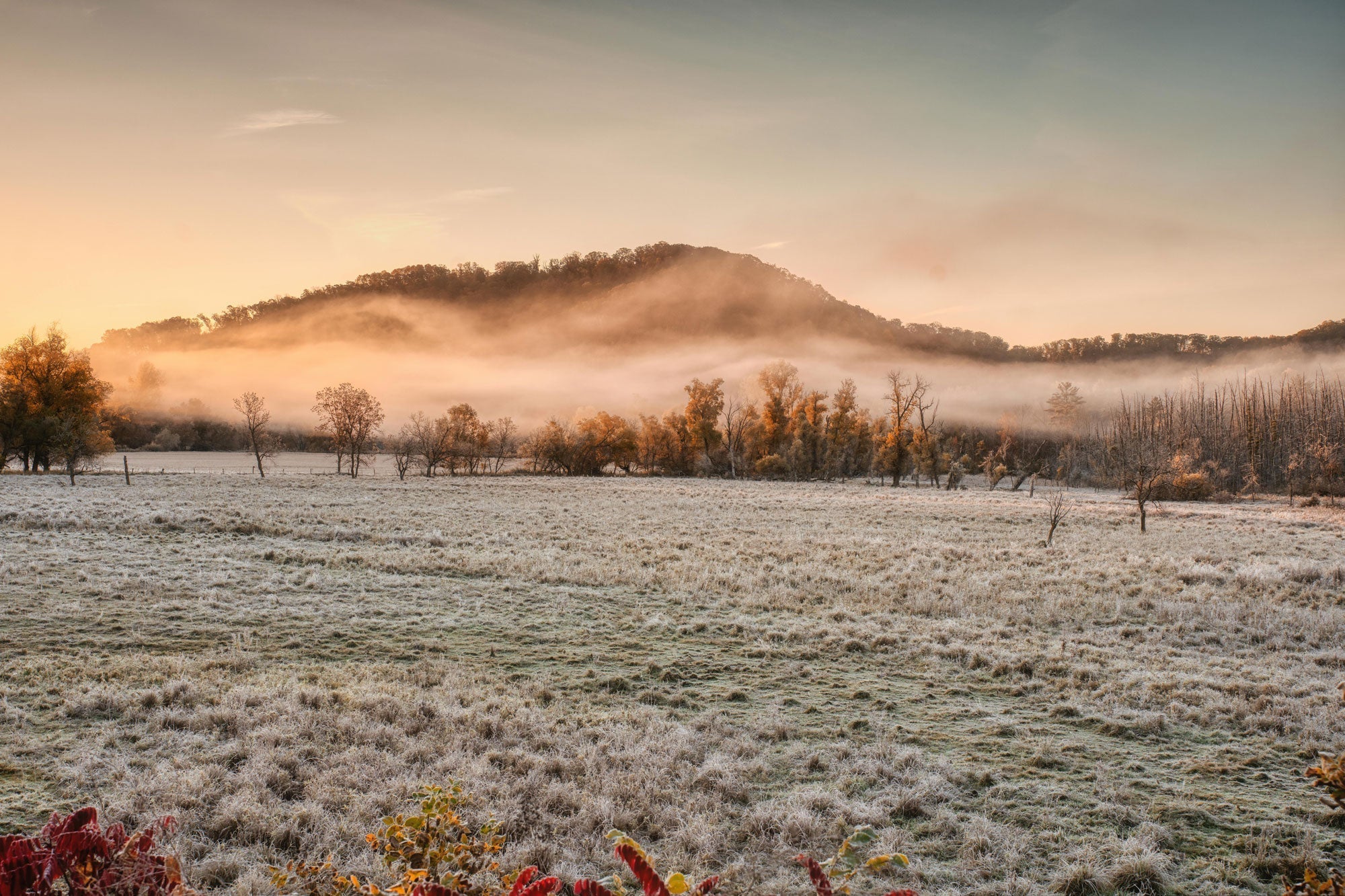 Frosty fall morning talking about how grounding can support our fall immunity