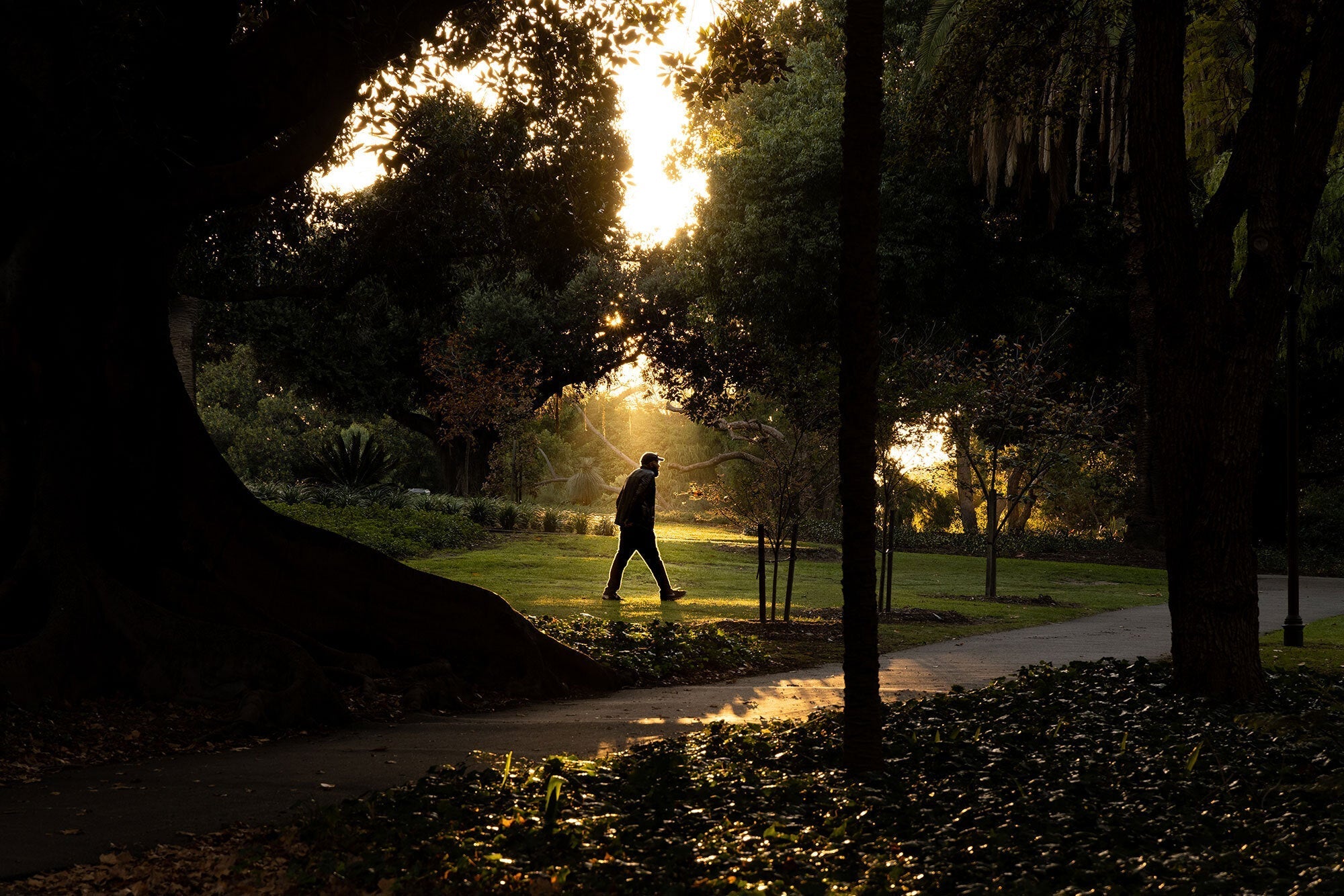 4 Reasons why morning sunshine is your ultimate wellness booster