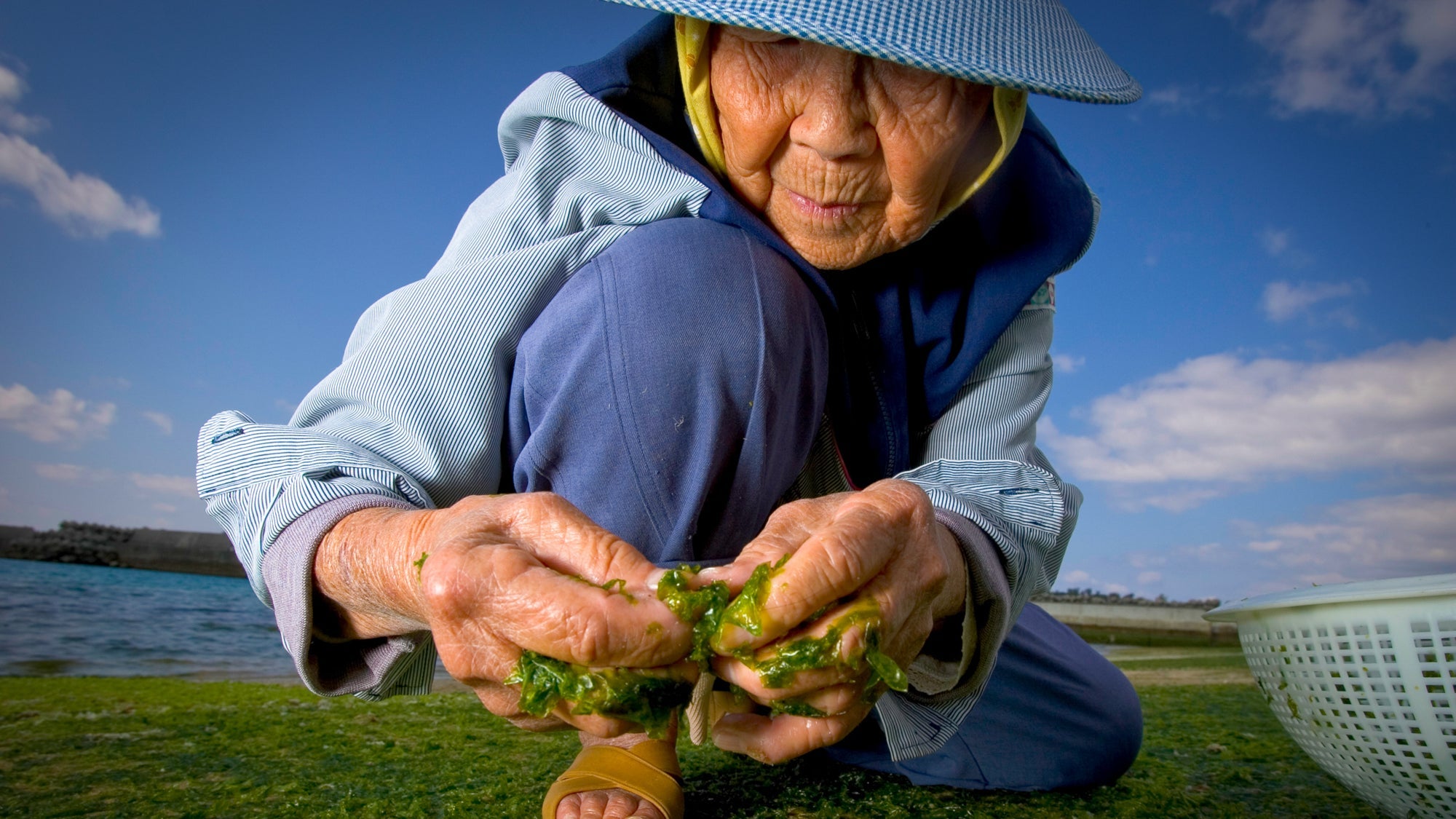 Embracing Nature and Longevity: What Blue Zones Teach Us