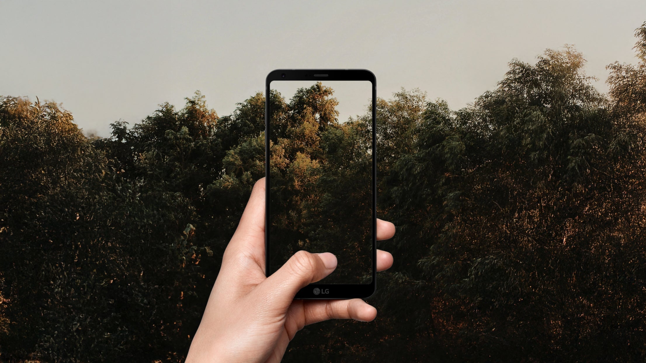 Reconnect and Recharge: How Grounding Can Be Your Ultimate Digital Detox Companion