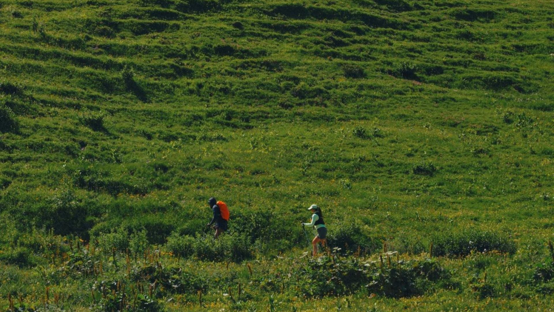 The Wellness Wheel: Your Guide To a Balanced Well-Being