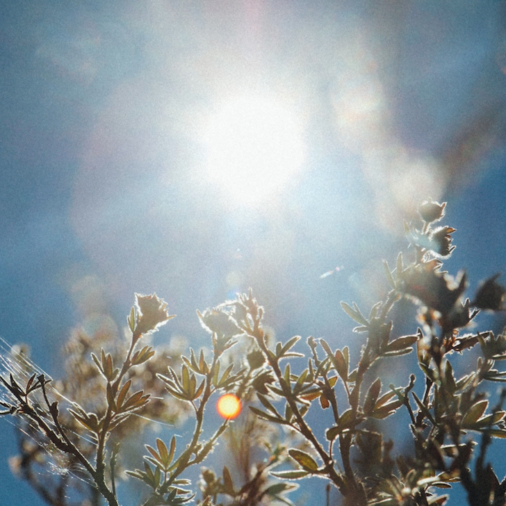 Morning Grounding Rituals for Stress Resilience