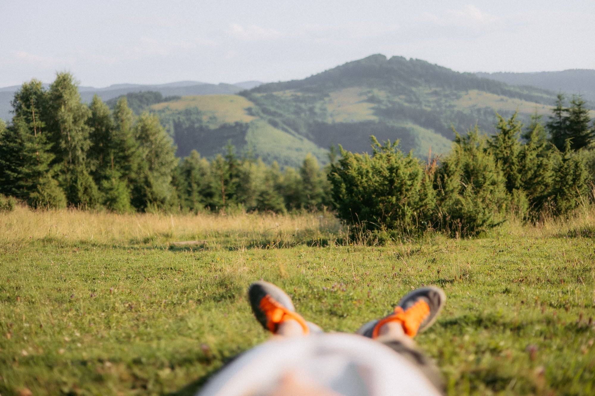 The Art of Slowing Down: Why Rest Is a Biological Need, Not a Luxury