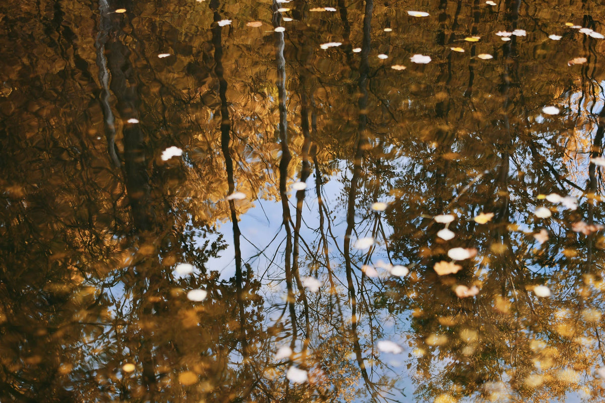 3 Simple Ways to Support Your Immune System This Fall, With Brit