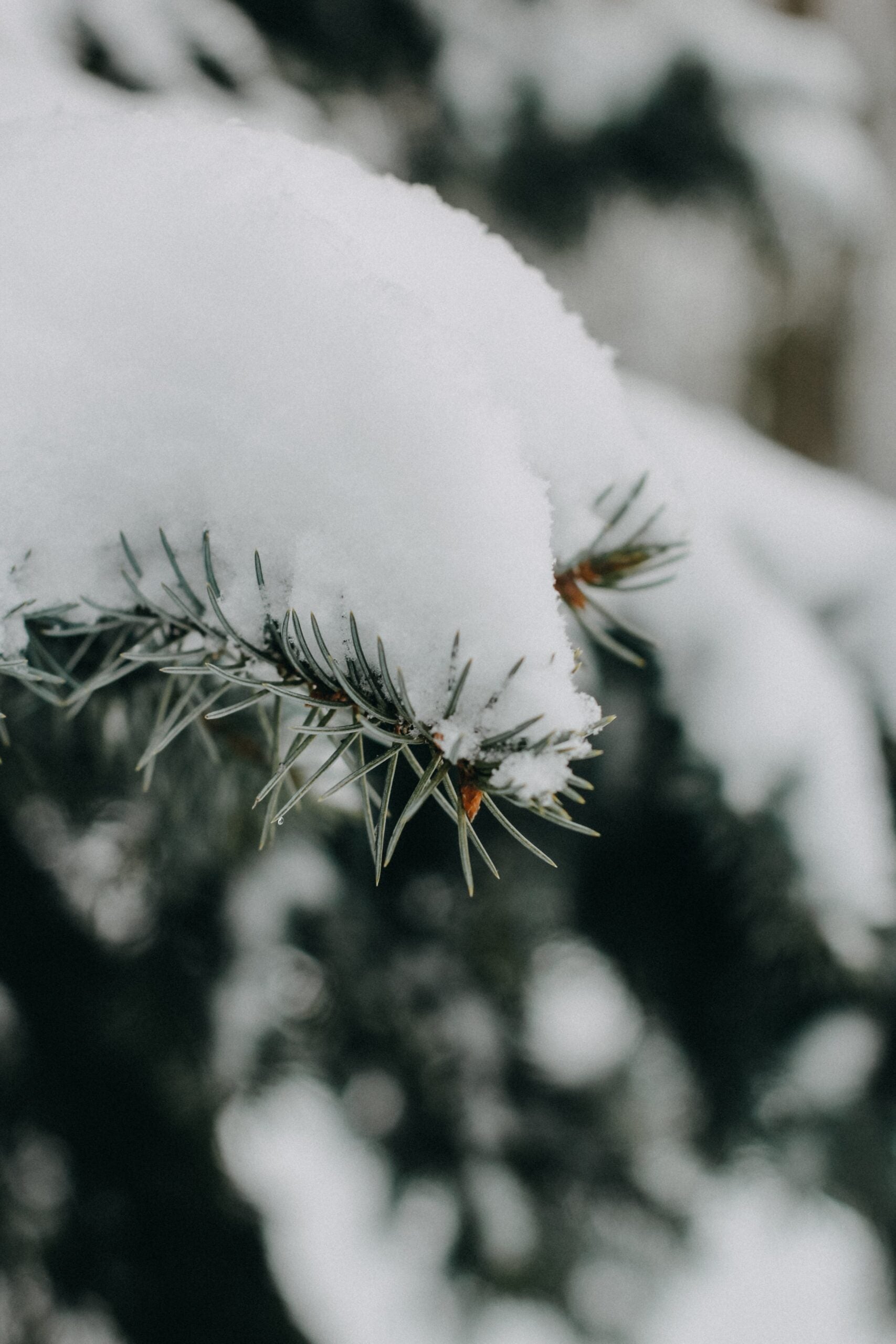 5 Ways to Stay Connected to Earth During Winter