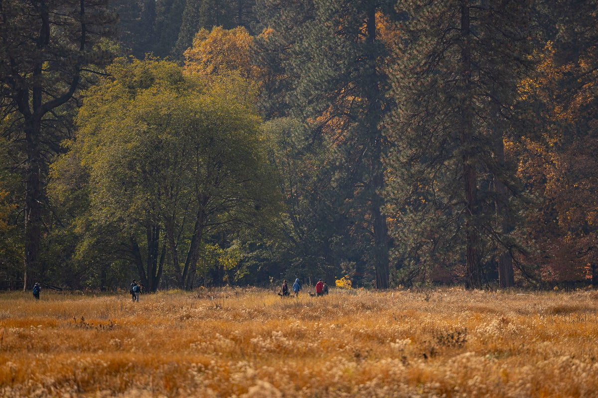 Supporting Immunity Naturally: Sleep, Stress & Seasonal Wellness