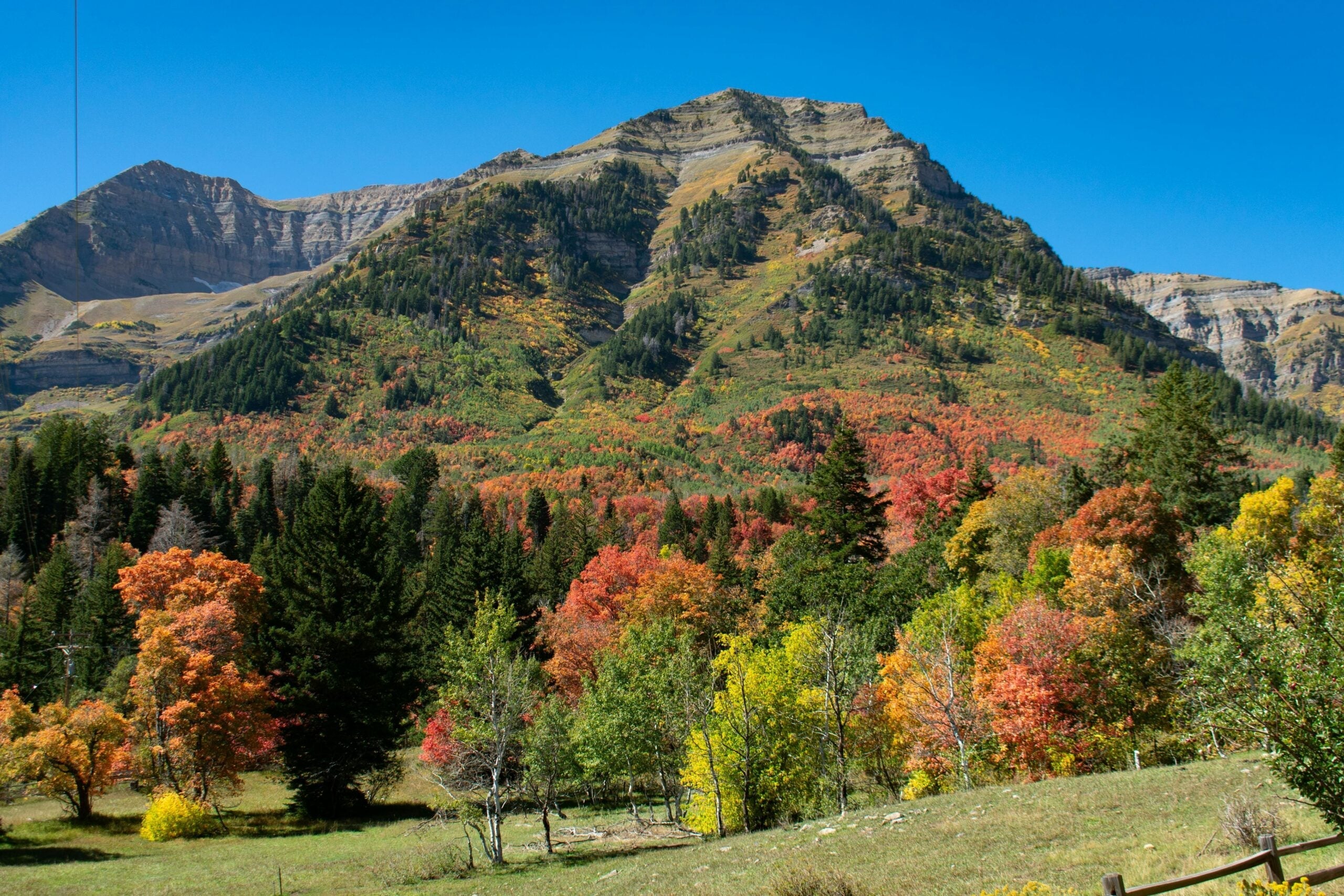 Barefoot Summers to Slow Autumns: Fall Rituals for the Whole Family