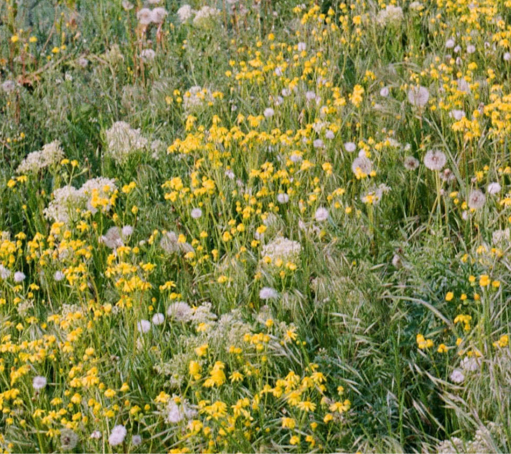 Bannière promotionnelle
