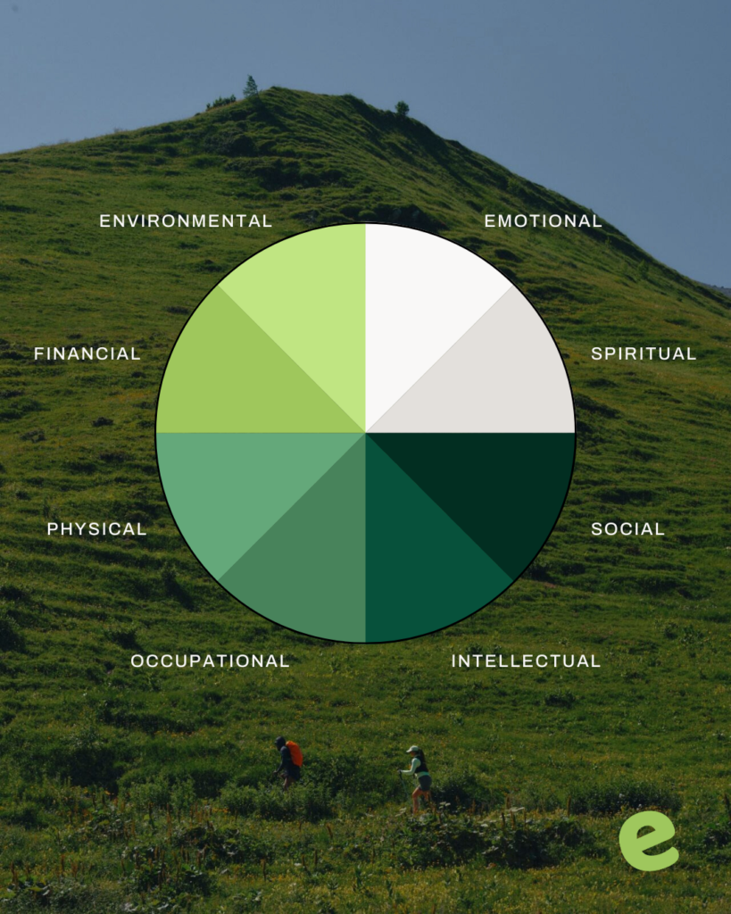 wellness wheel, balance, work/life