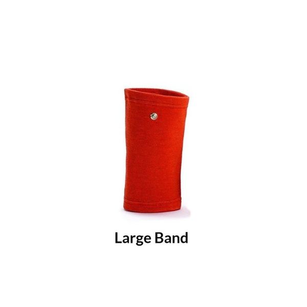 Grounded Band Large
