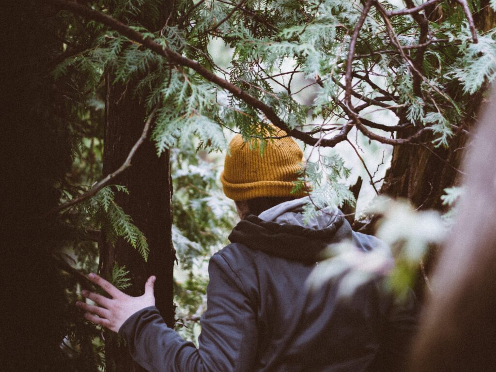 he Best Hikes Near Calgary: Scenic Views, Family-Friendly Trails, and Short Adventures